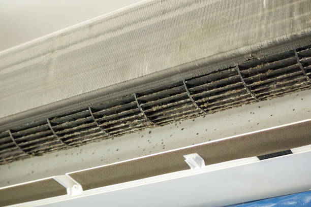 Best Ductwork Cleaning Services  in East Riverdale, MD